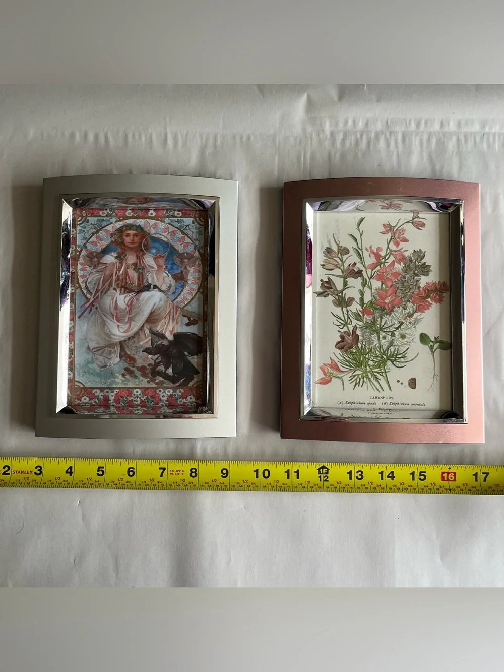 Silver & Rose Tone Resin Picture Photo Frames w/ Fine Art Prints-Set of 2